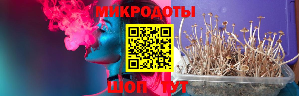 Бор  Галлюциногенные грибы прущие грибы  Галлюциногенные грибы MAGIC MUSHROOMS  Вход с VPN 
